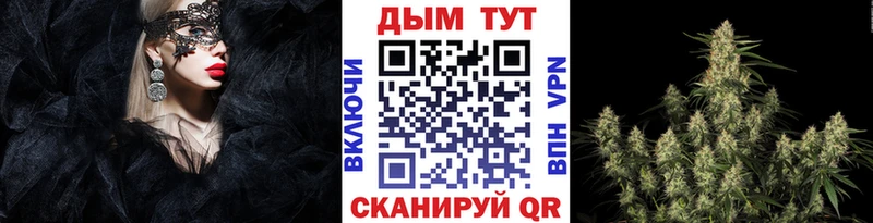 где найти   Старица  Каннабис тримм 